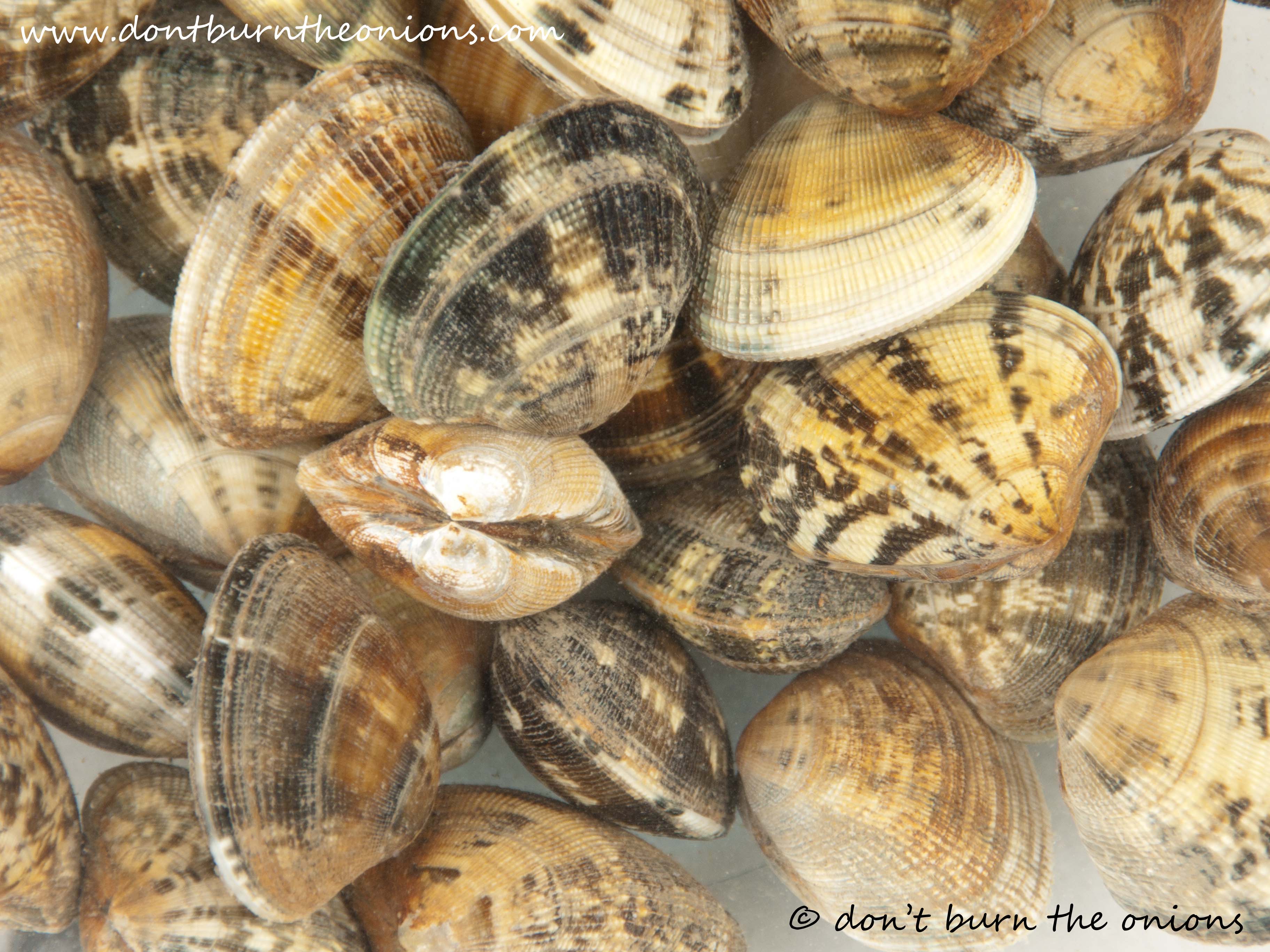 Spaghetti with boozy clams and garlic. | don't burn the onions